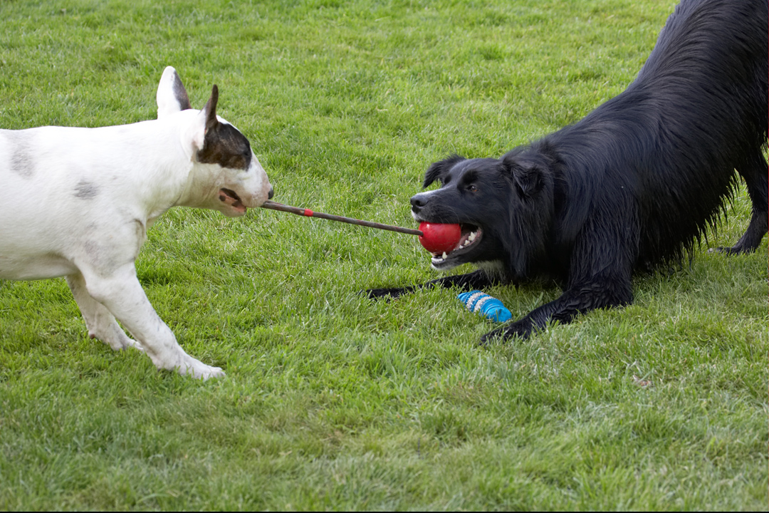 ........... let ..............