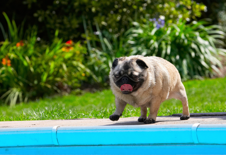 Time for dip..........