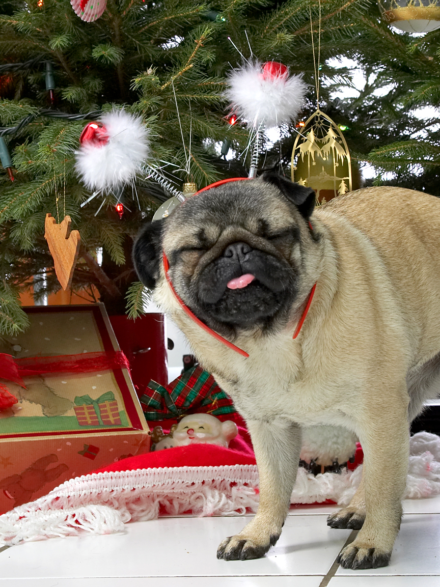 Franny With the Snowmen