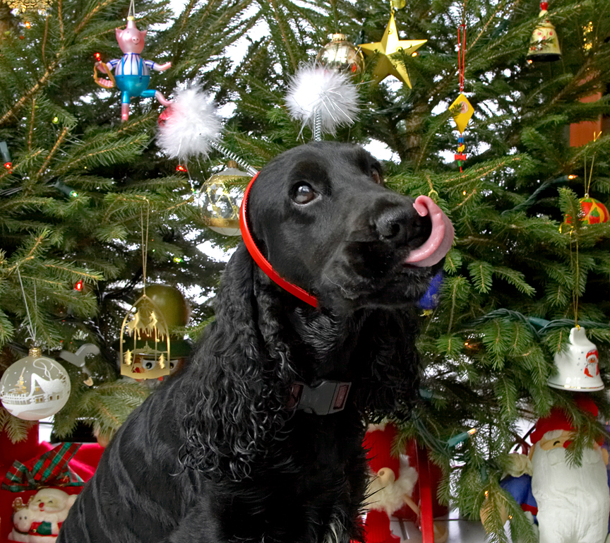 Woody and the Snowmen