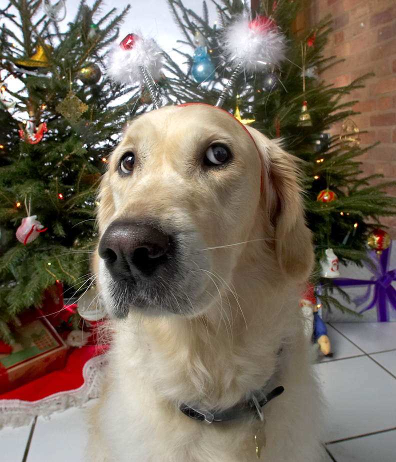 Rosie Wearing the Snowmen