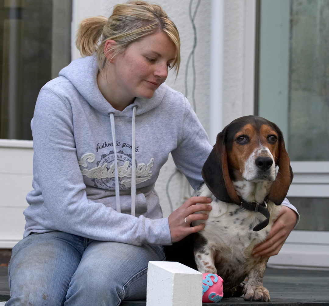 Ball, Bassett hound, Dog, Dogs, Humphrey, Kate
