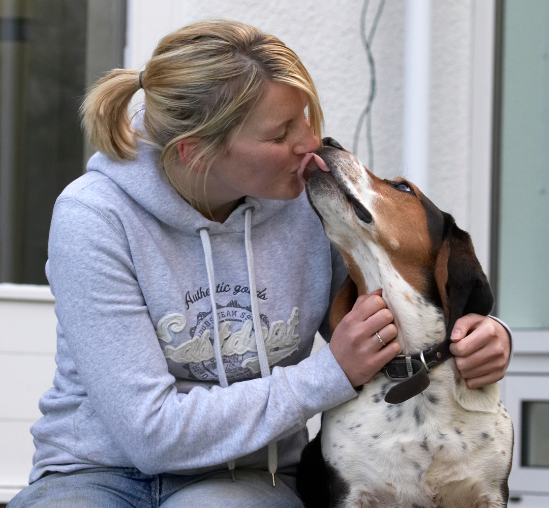 Bassett hound, Dog, Dogs, Humphrey, Kate, Kiss, Tongue