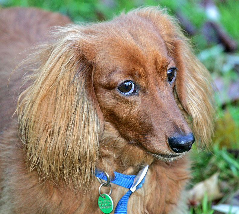 Molly
