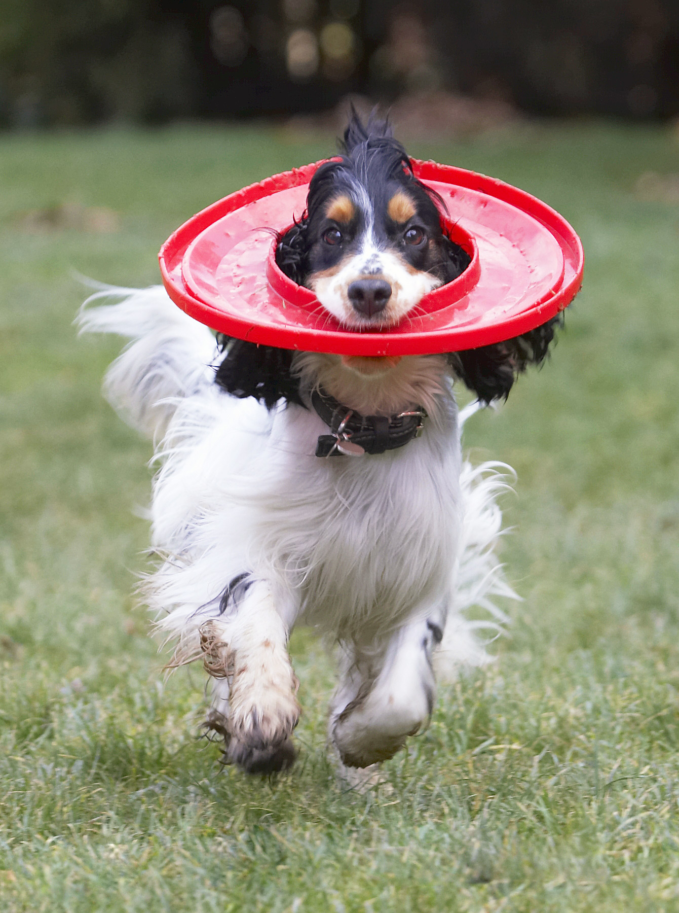 Plays havoc with my hairstyle though