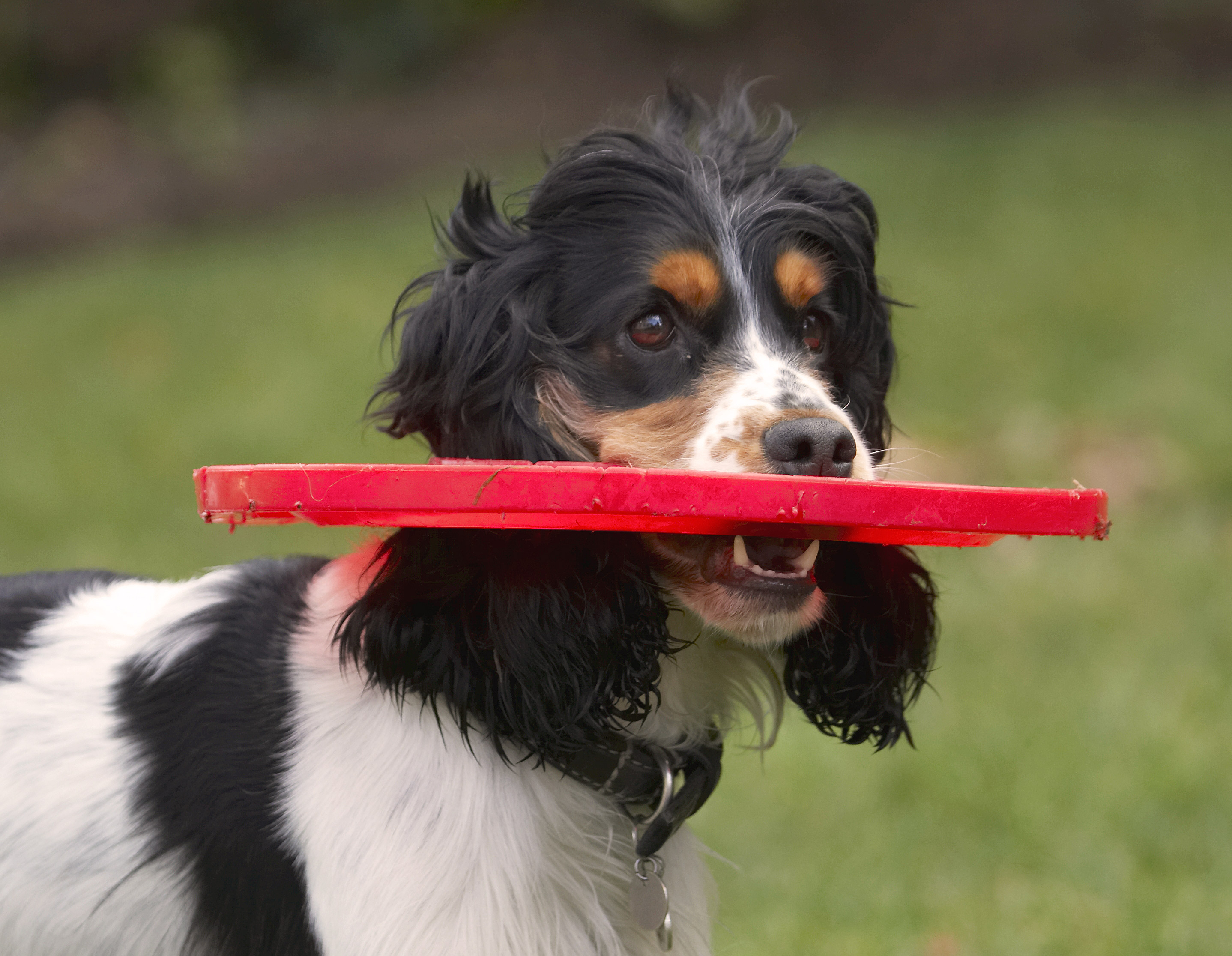 Hmmm, better re-think this