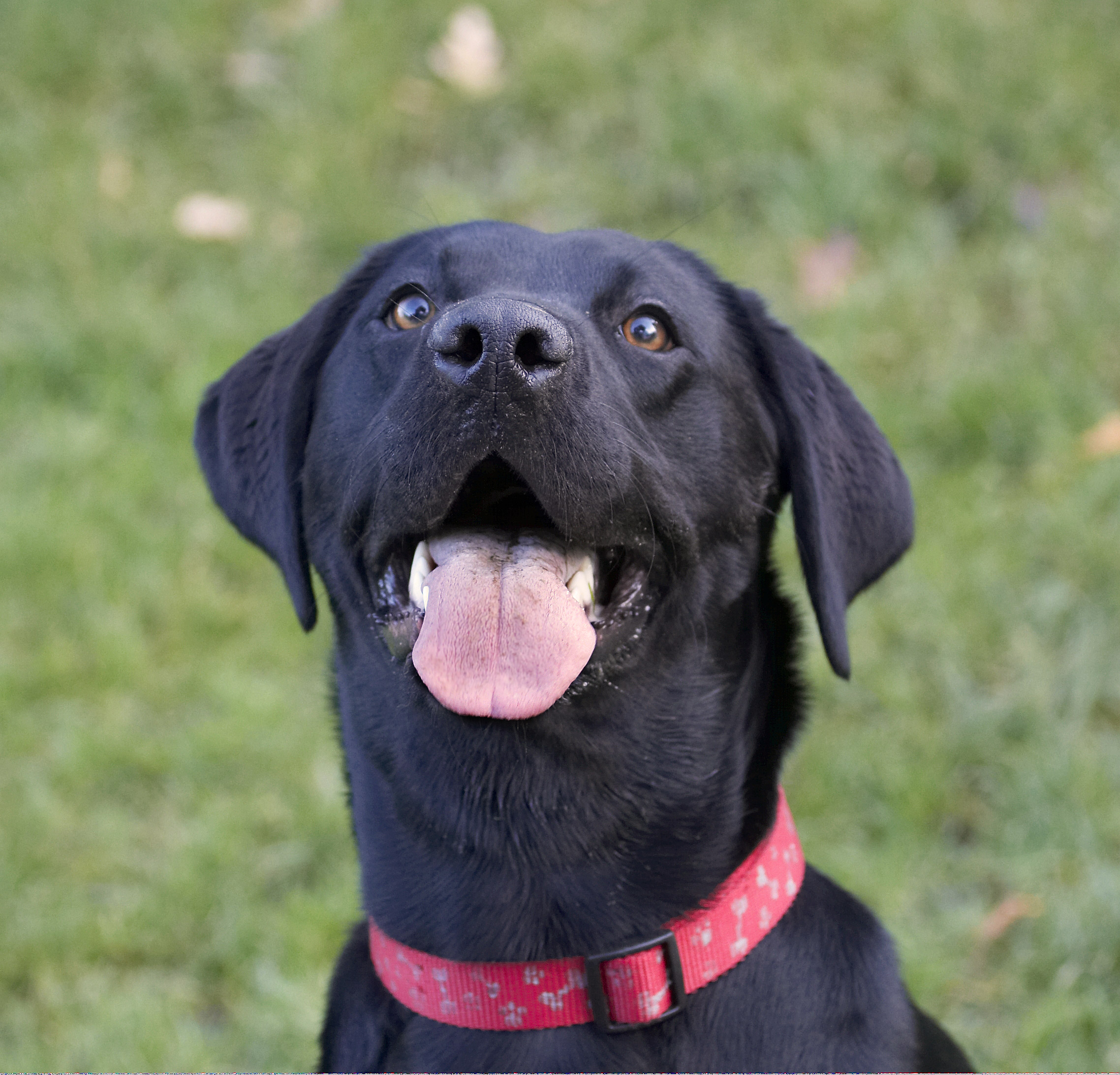 OK, I'm paying attention