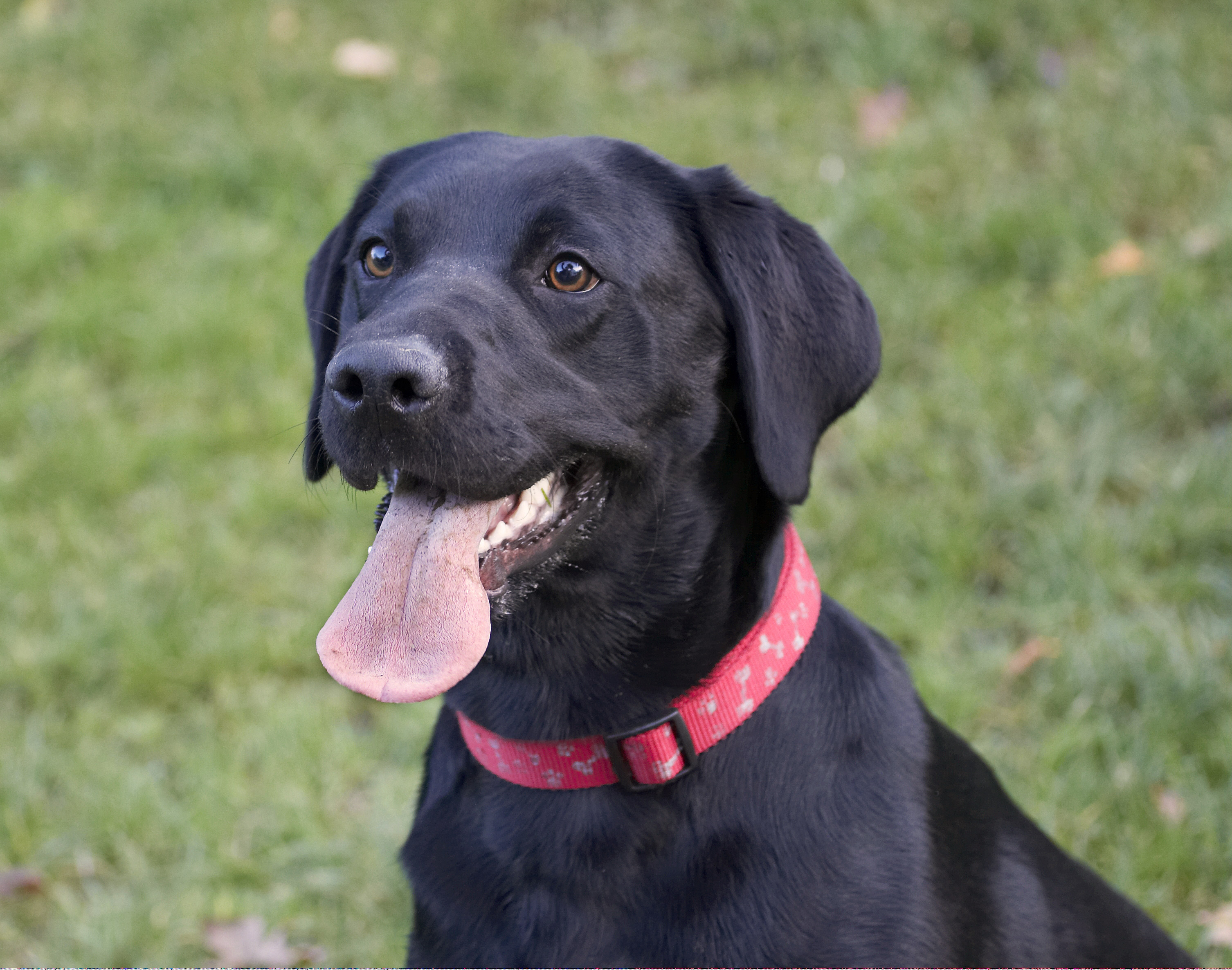 D'ya think I need a tongue scrub?!