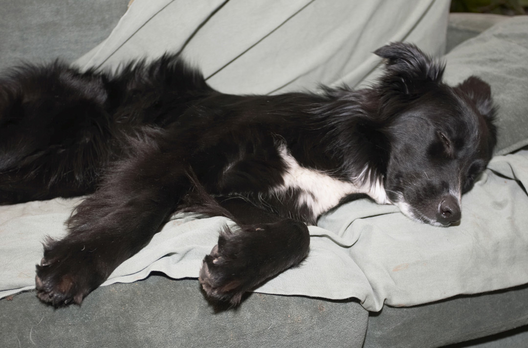 I AM pooped