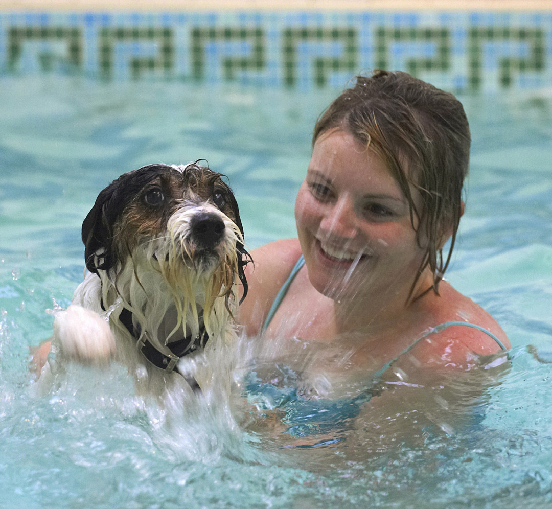 Dog, Dogs, Kate, Muki, Parson Russell Terrier, Play, Playing, Playtime, Pool, Splash, Splashing, Swim, Swimming, Terriers