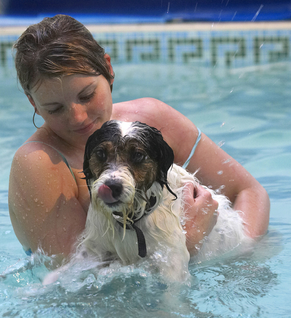 Dog, Dogs, Kate, Muki, Parson Russell Terrier, Play, Playing, Playtime, Pool, Swim, Swimming, Terriers, Tongue