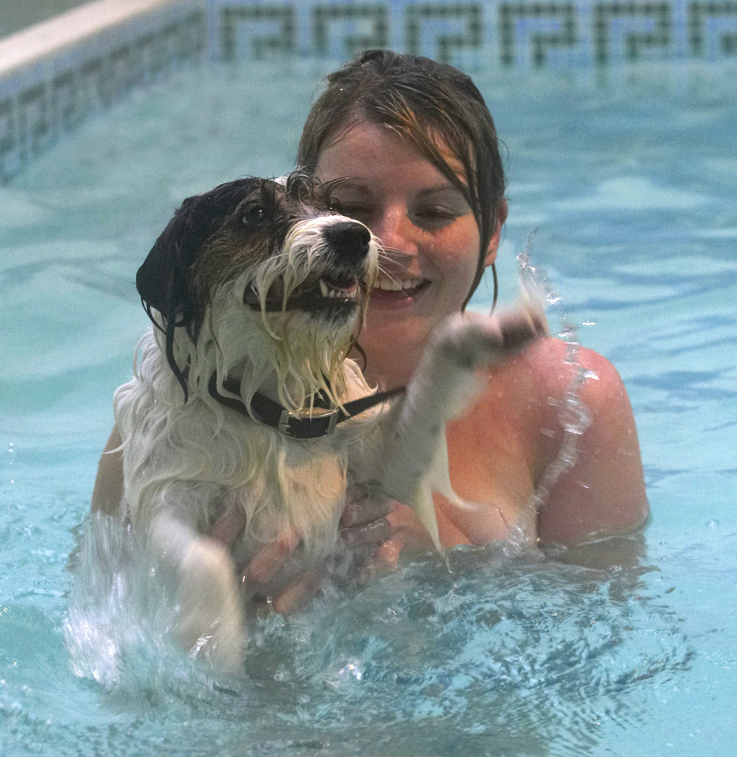 Dog, Dogs, Hi-five, Kate, Muki, Parson Russell Terrier, Play, Playing, Playtime, Pool, Splash, Splashing, Swim, Swimming, Terriers