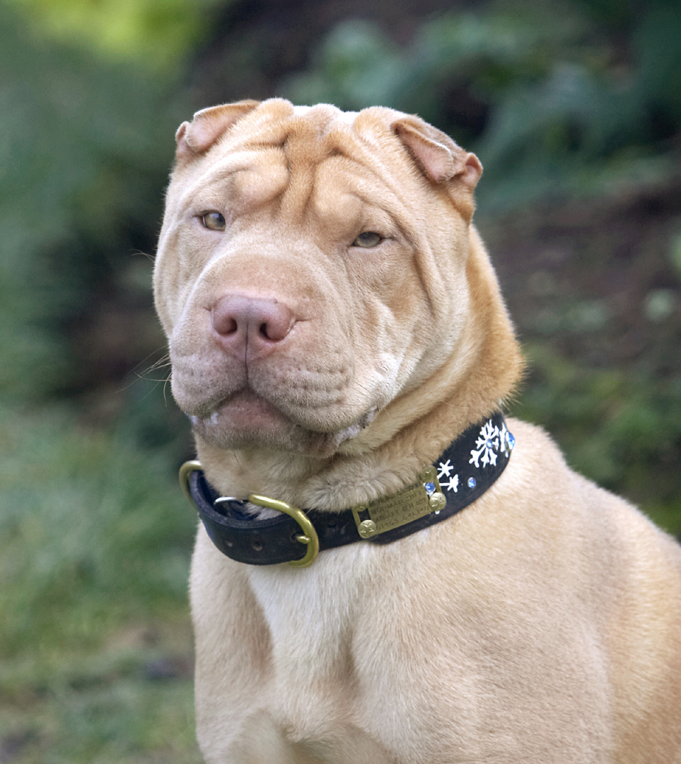 You didn't know I could be such a good boy, did you!