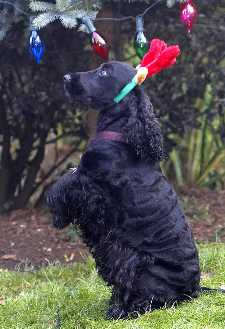 OK, I want my reward NOW