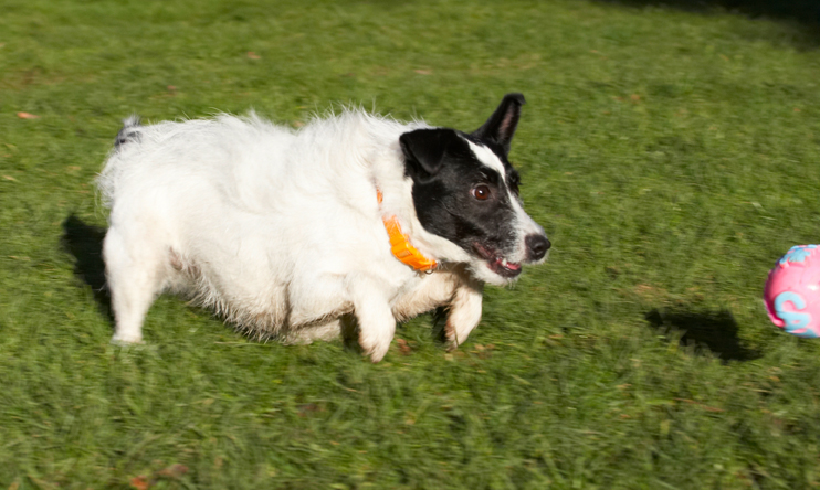 I've got it in my sights