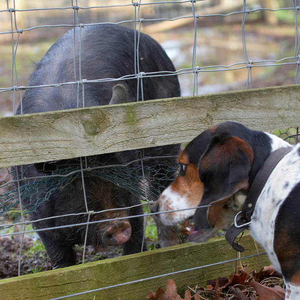 My, you've got a big nose