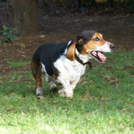 Off to do something new