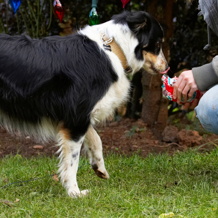 C'mon, I can't wait to see what it is