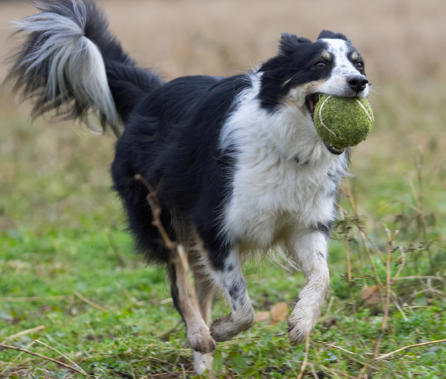 Hey, this is a mouthful