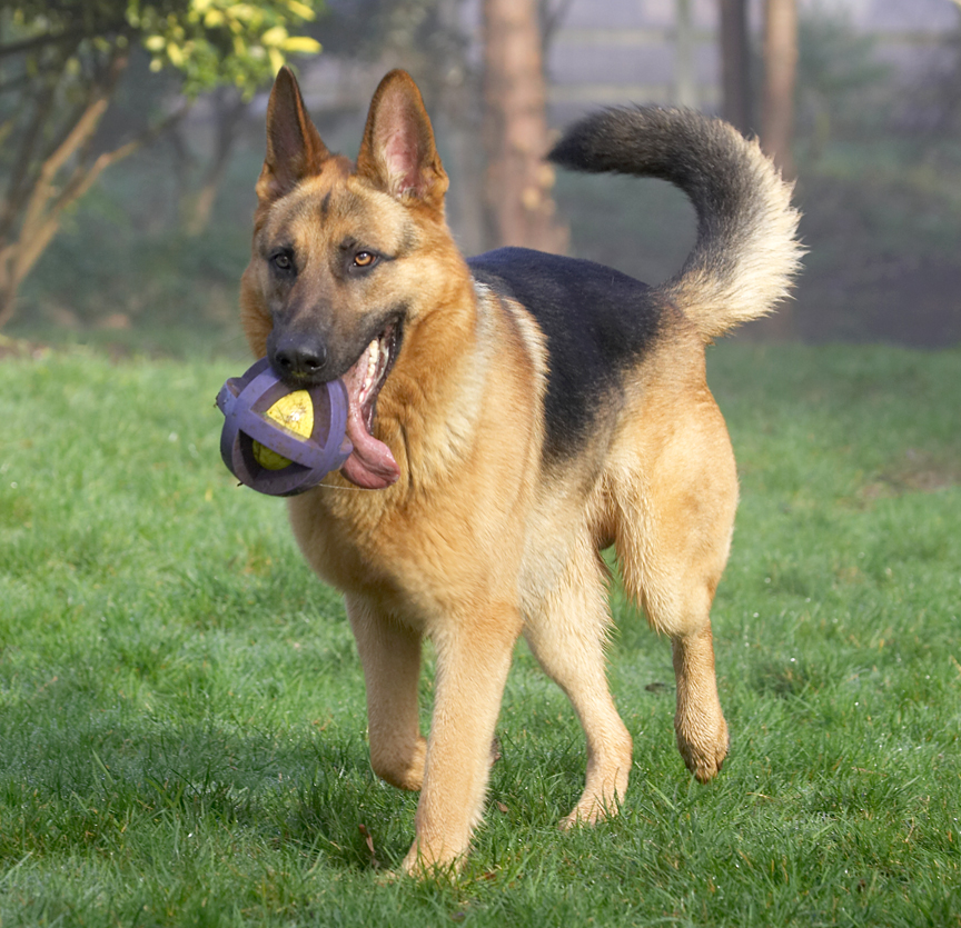 Yep, I'm bringing it back