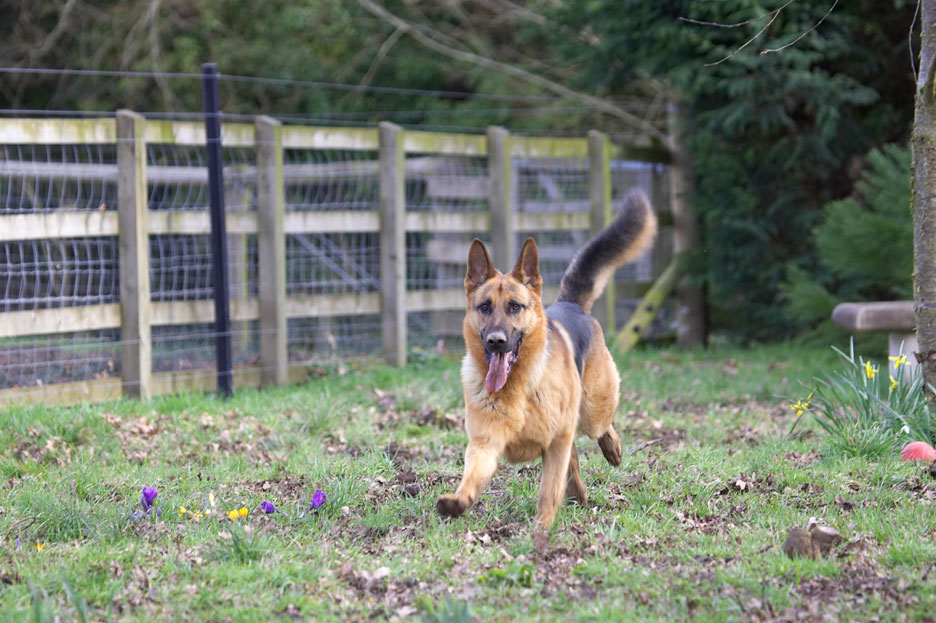 In full flight