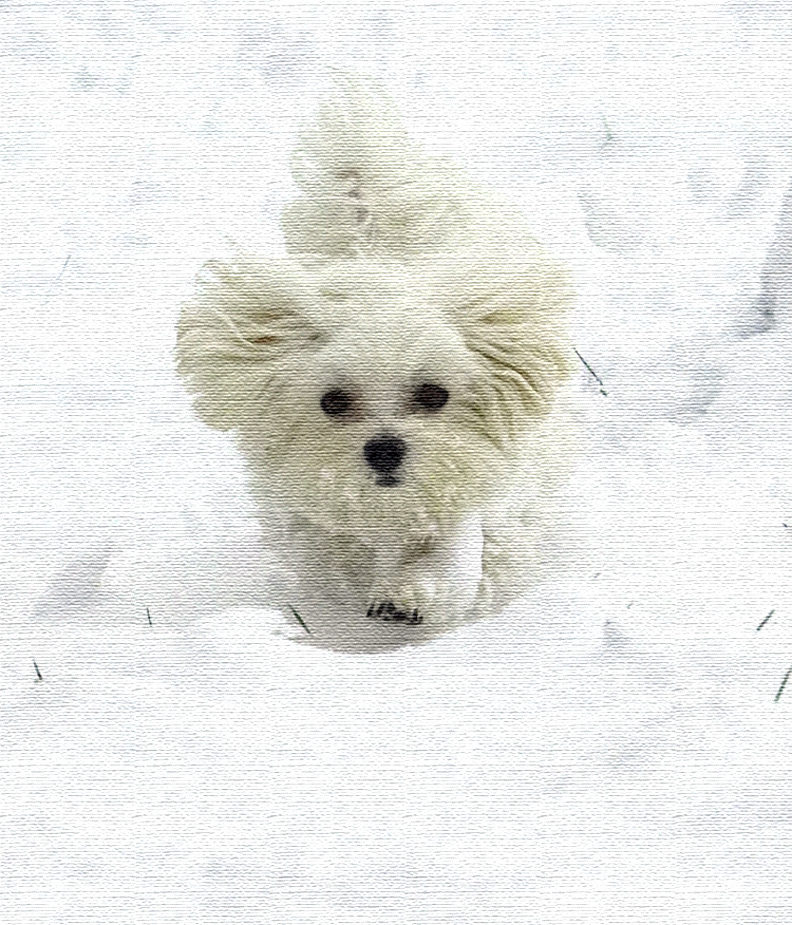 Wow, snow - good camouflage for me