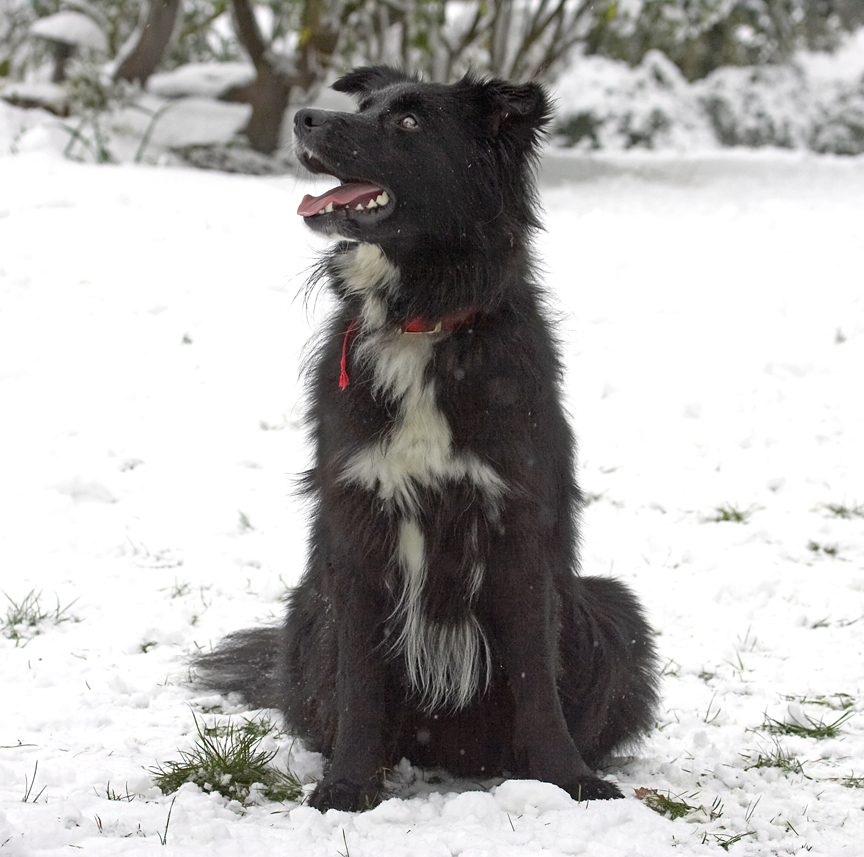 Whaddya mean I'll get a cold bum!