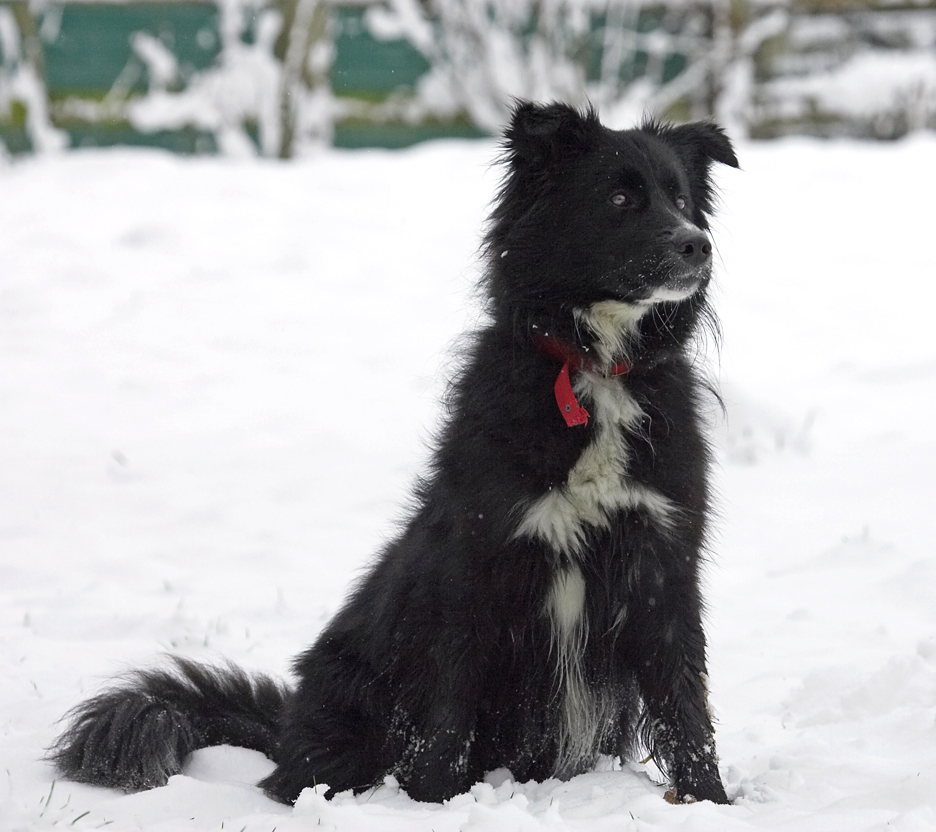 What's all this white stuff?