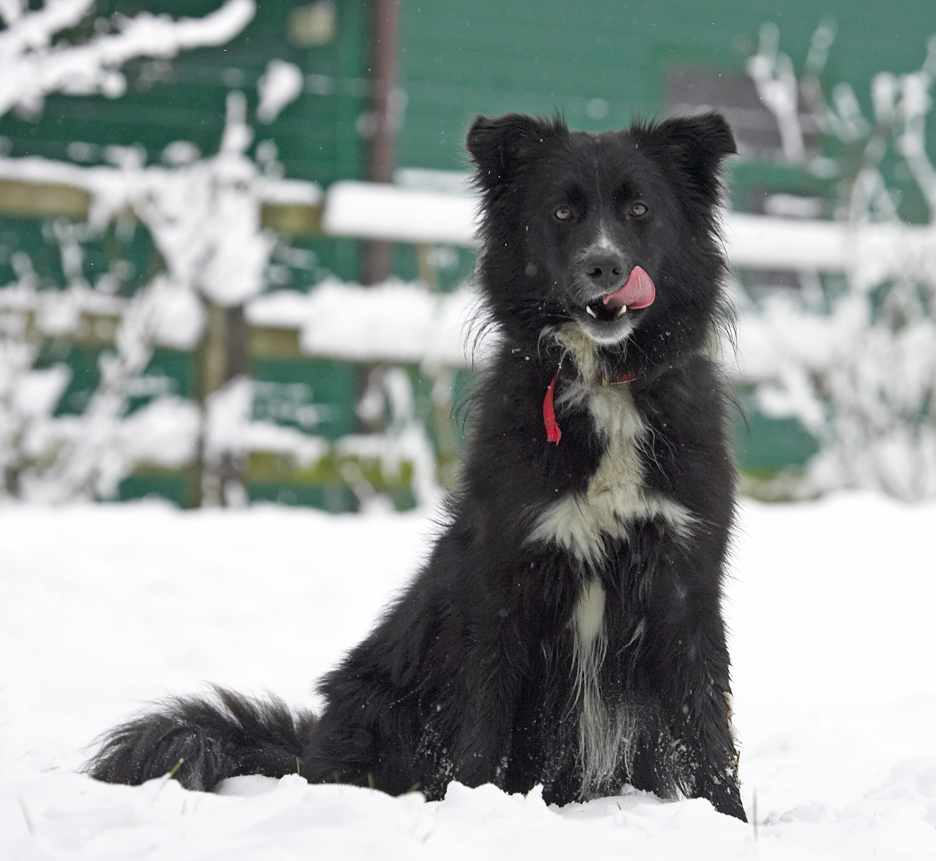 I know, don't eat the yellow snow