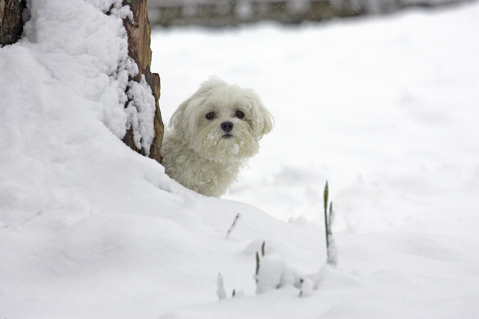 Do you think they can see me?