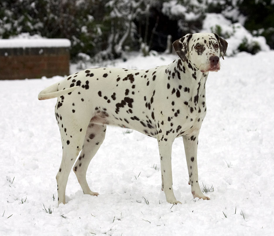 C'mon then, throw it
