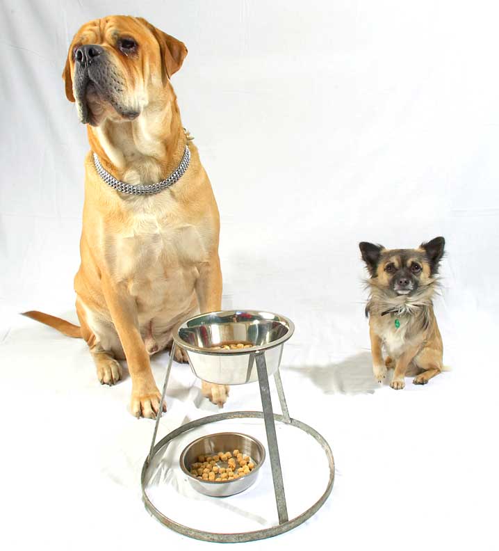 Brutus and Pee Pee