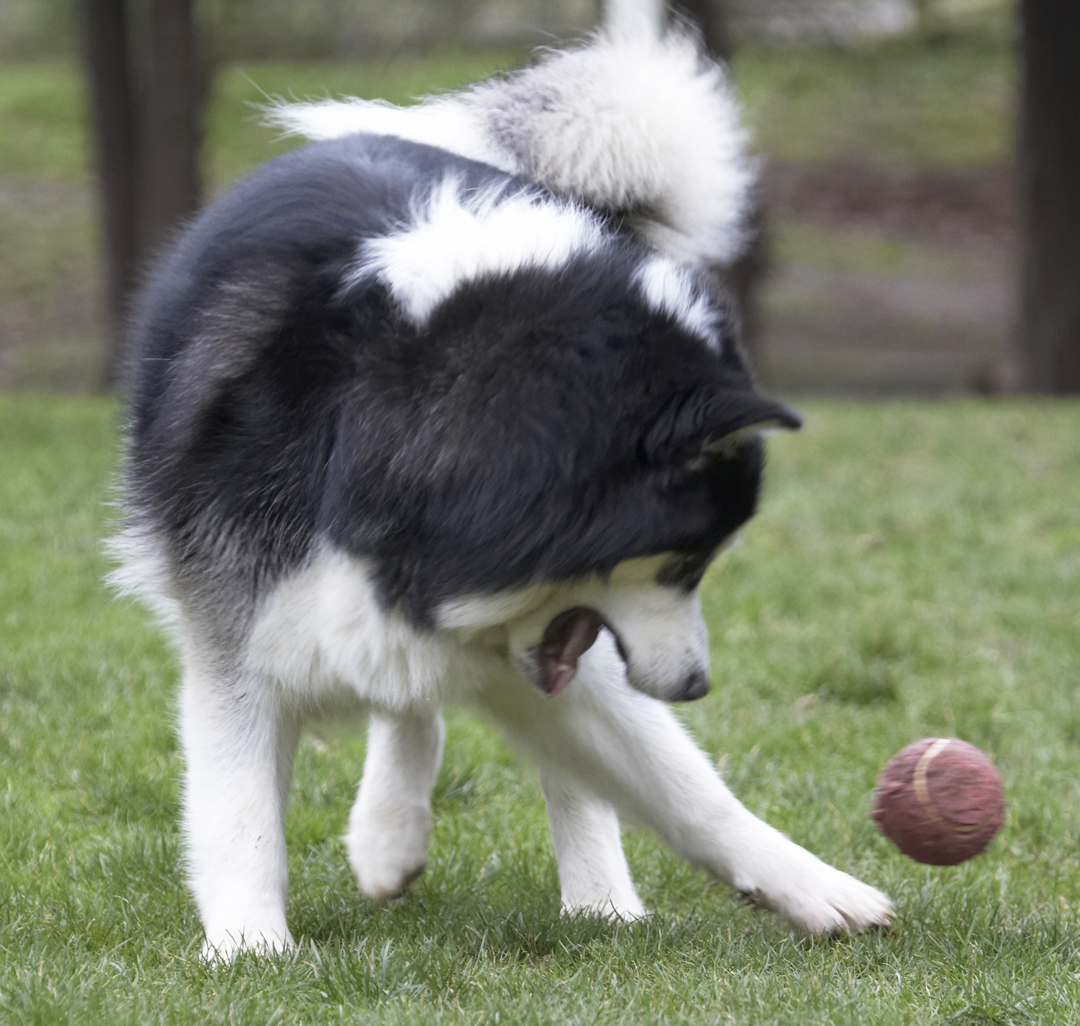 I got my eye on the ball