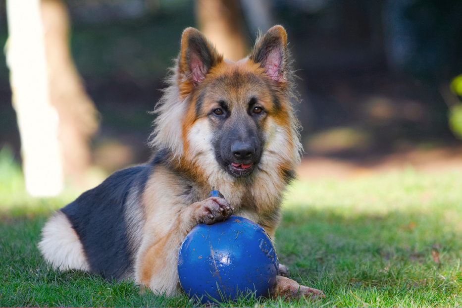 Possession is nine-tenths of the law.......