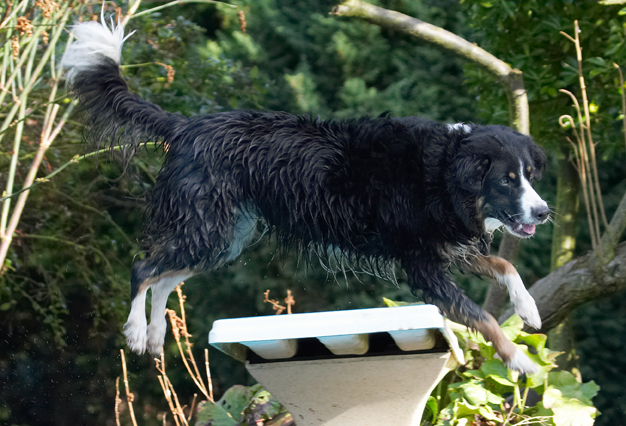 Whee, I'm flying