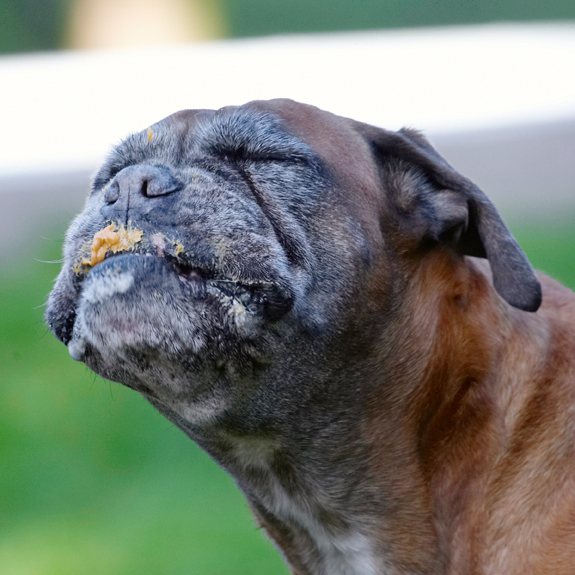 Heavenly!!!!!!!!!!!!!