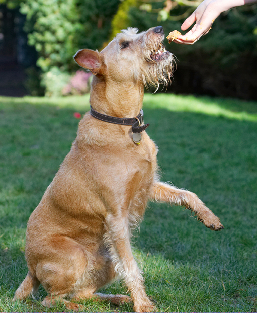 Oh, goody, here it comes