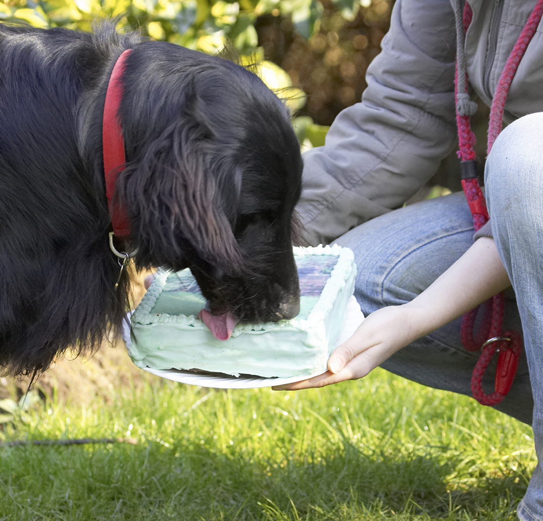 Jus' checking it out