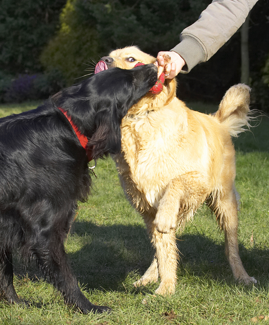 Mmm, mmm, it tastes really good