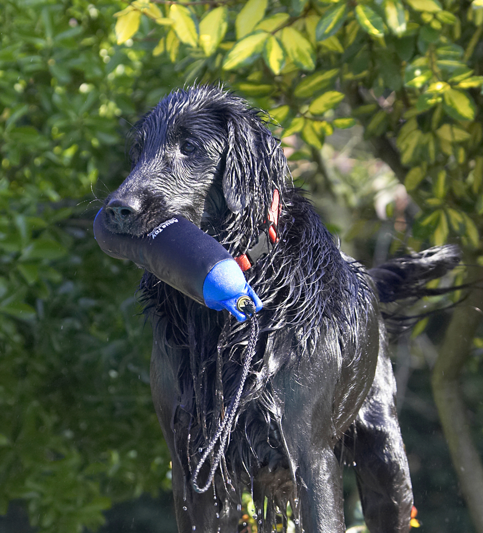 Yo, another successful retrieval