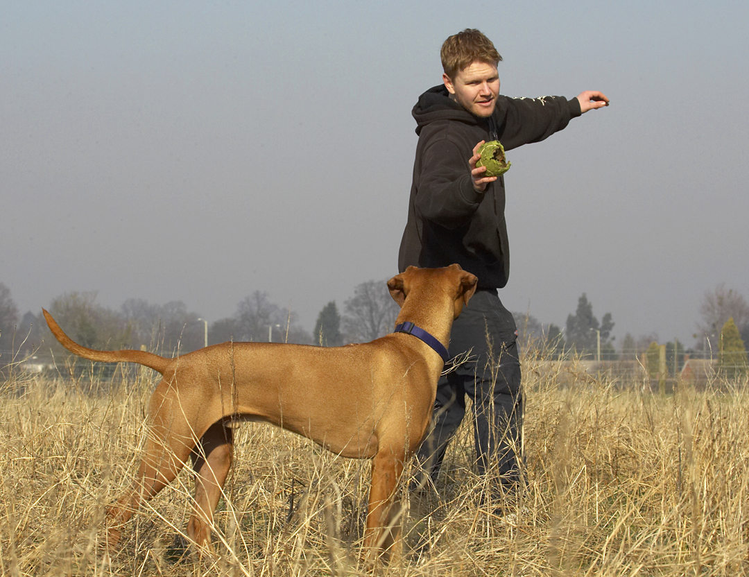 Well, go on, throw