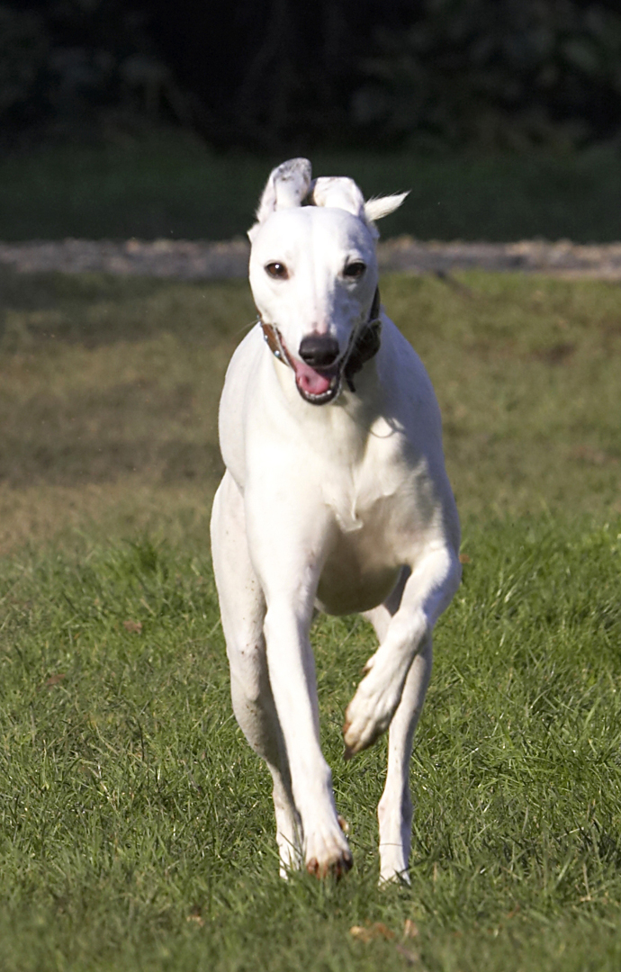 ......... really fast