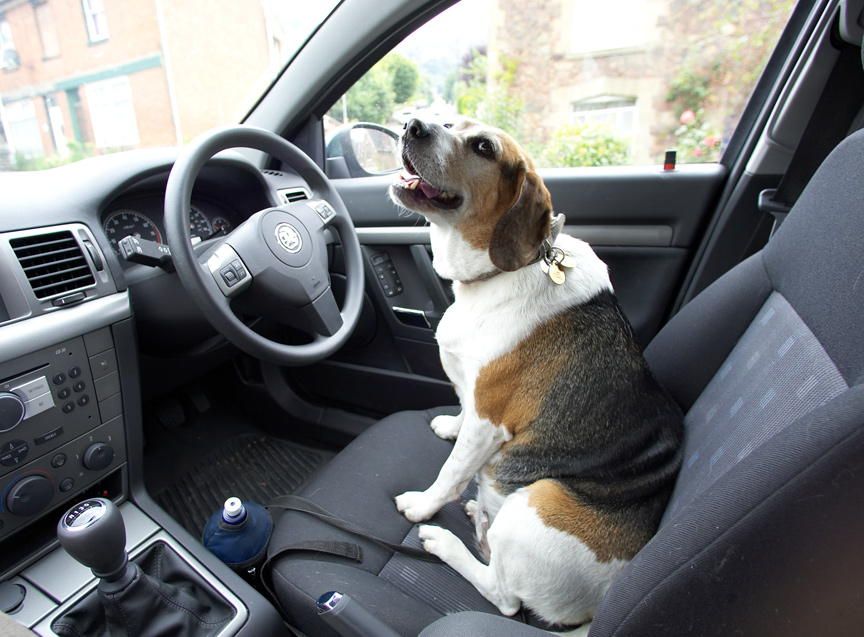 Look, I can drive myself