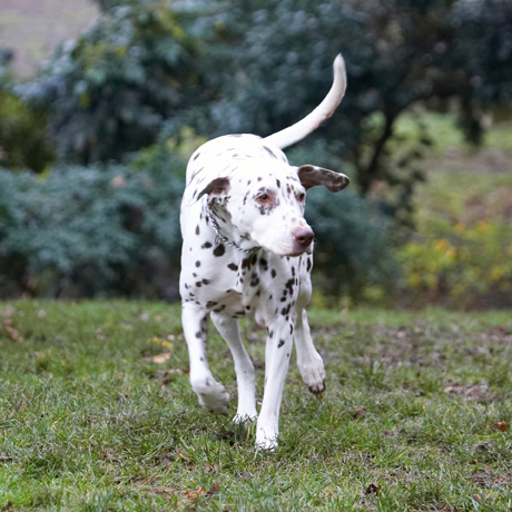 Jus' exploring my old stamping ground