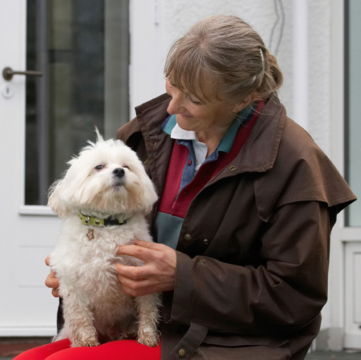 Best, Cathy, Dog, Dogs, Friend, Maltese, Sitting, Teddy
