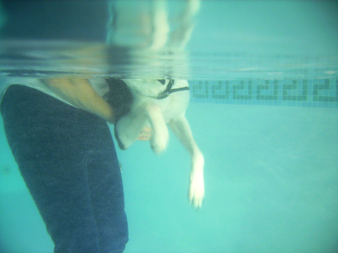 Murphy Swimming
