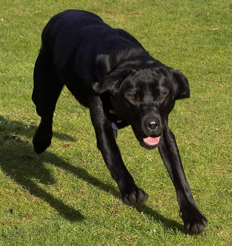 Ben Playing Catch