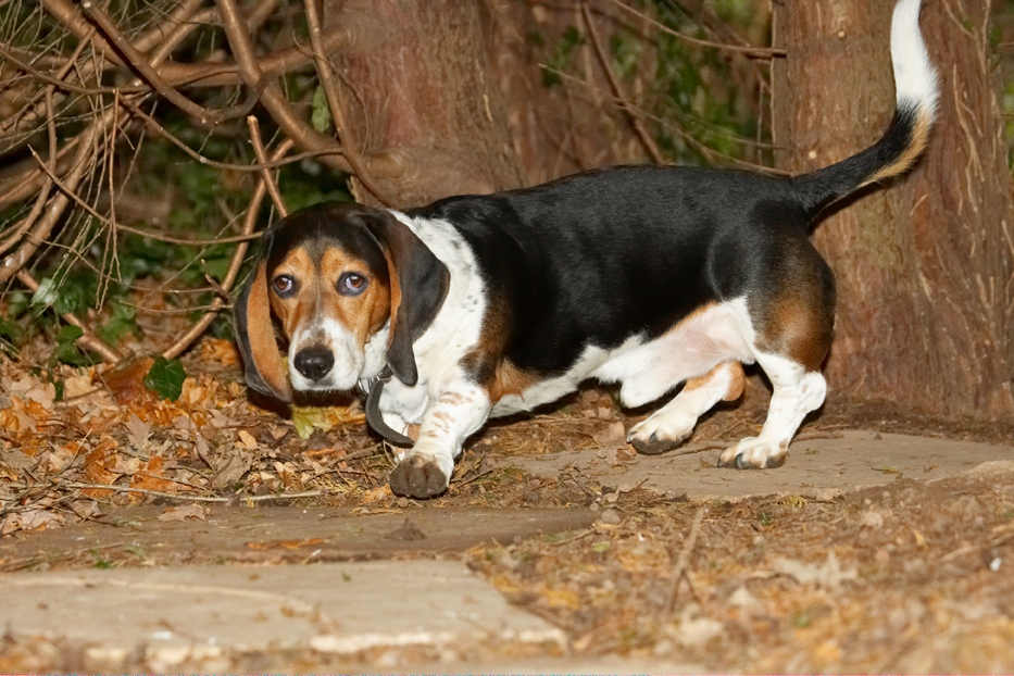 I'm jus' off exploring