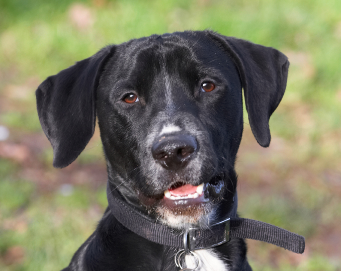 I'm such a cutie pie