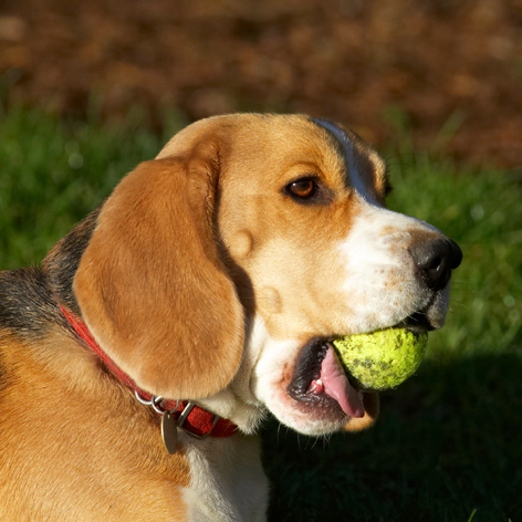 Well, I AM exercising my jaw